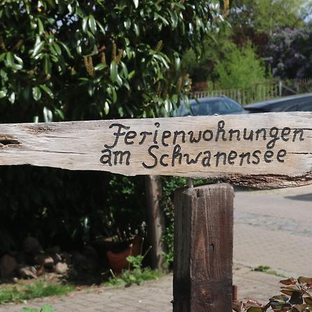 Ferienwohnungen Am Schwanensee Ploen Ngoại thất bức ảnh