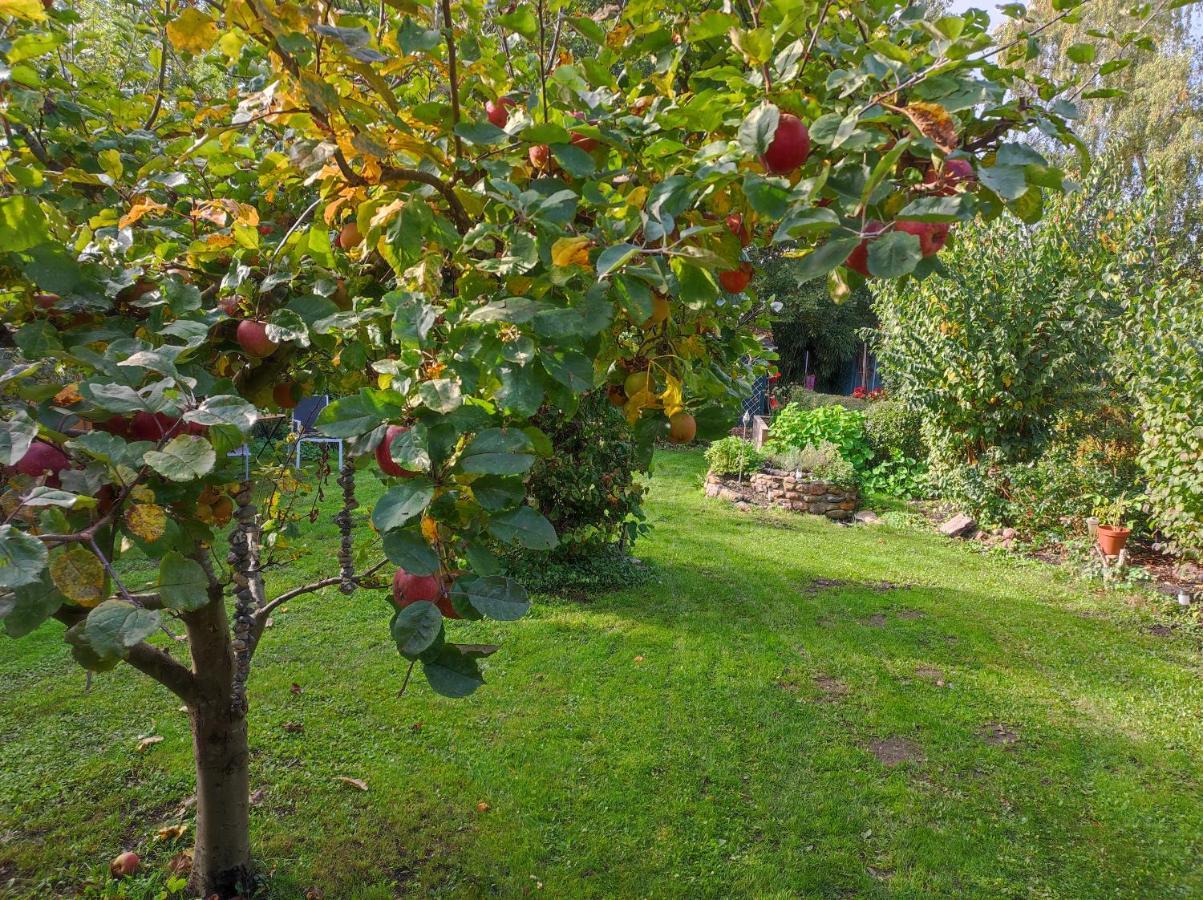 Ferienwohnungen Am Schwanensee Ploen Ngoại thất bức ảnh