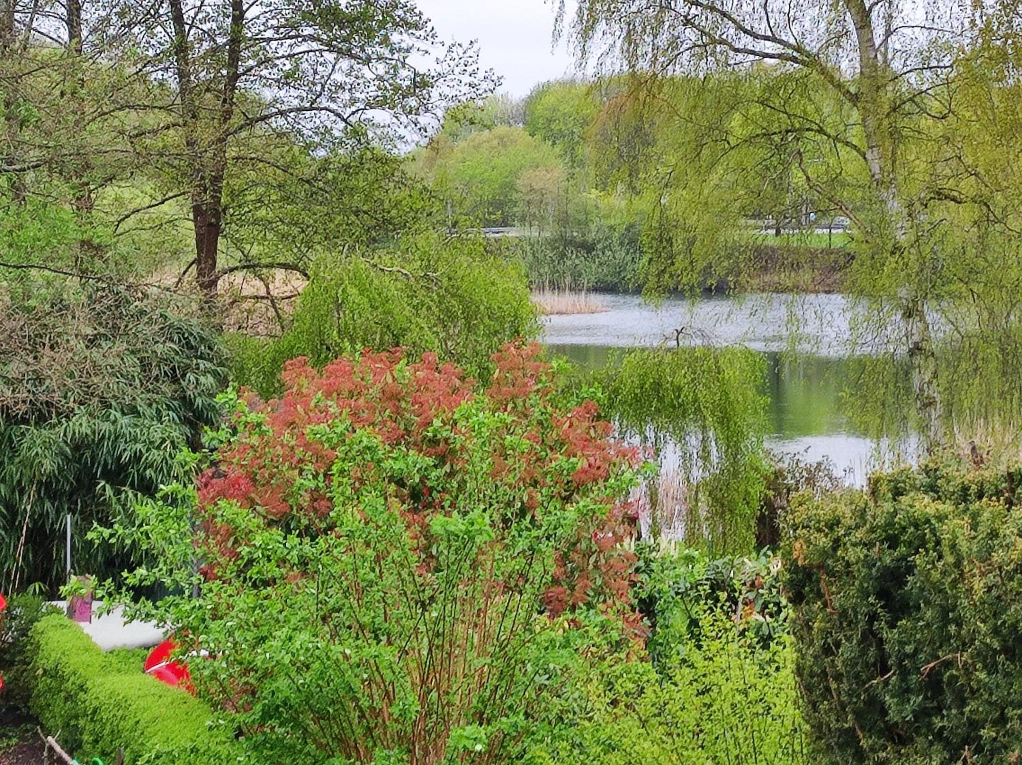 Ferienwohnungen Am Schwanensee Ploen Ngoại thất bức ảnh